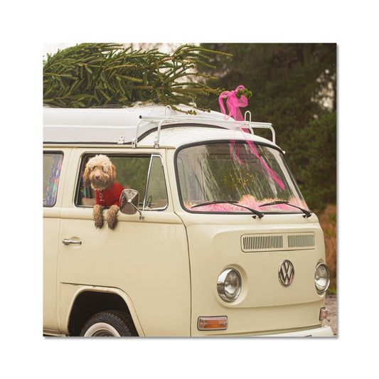 1972 VW Bay Window Campervan parked with with Christmas tree on roof and Cockapoo dog looking out of window. Fine Art Print