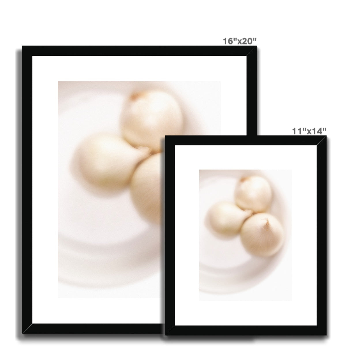 Three white onions on white plate Framed & Mounted Print