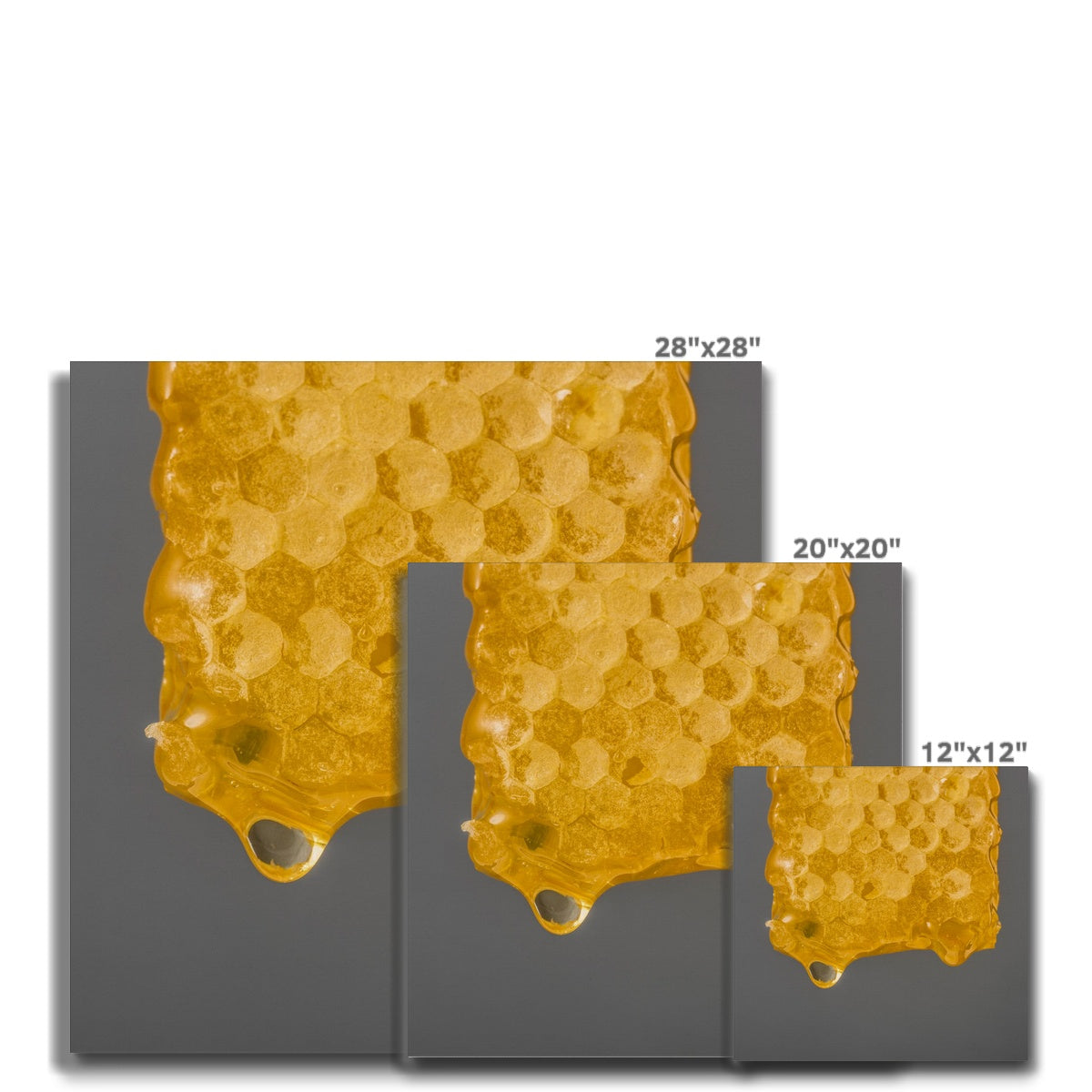 Natural honeycomb full of honey Canvas