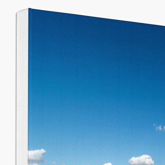 Single Tree, Yorkshire Dales Landscape Canvas