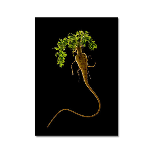 Quirky Parsnip Fine Art Print
