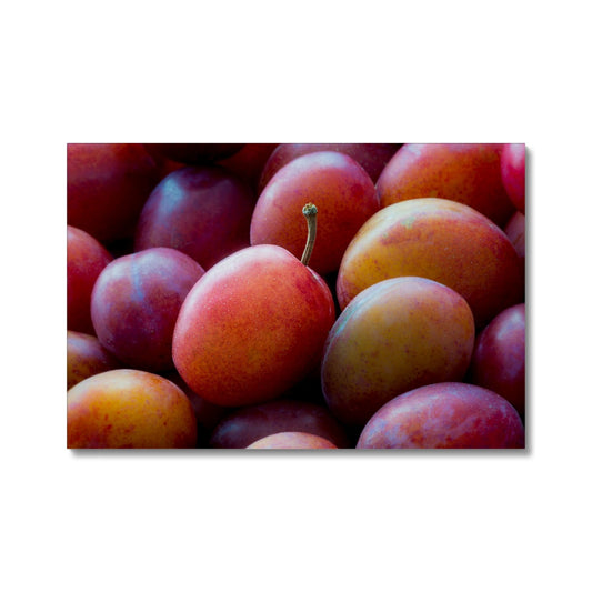 Freshly picked Victoria plums. Canvas