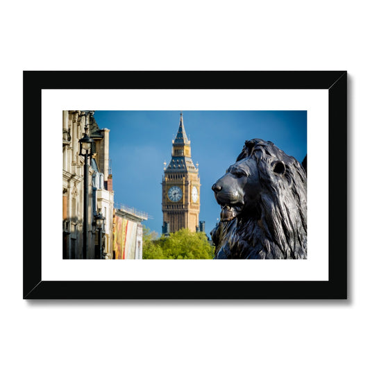 Lion statue in Trafalgar Square, with Big ben in background, London. Framed & Mounted Print