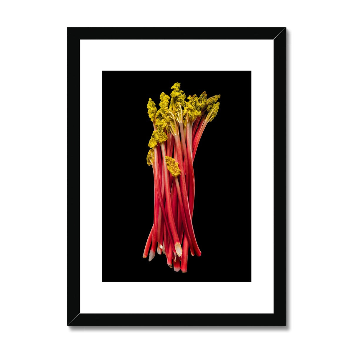 Rhubarb on black background Framed & Mounted Print