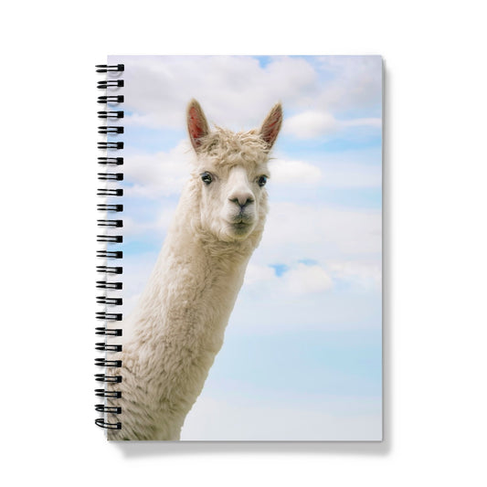 Inquisitive Alpaca Notebook