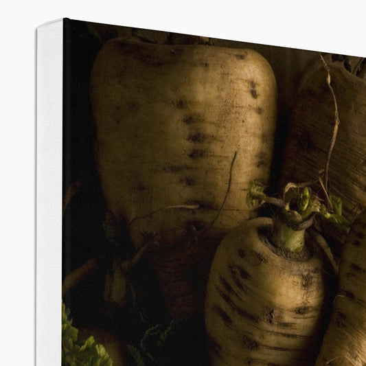 Parsnips - still life Canvas