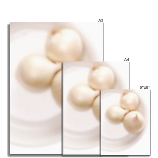 Three white onions on white plate Fine Art Print