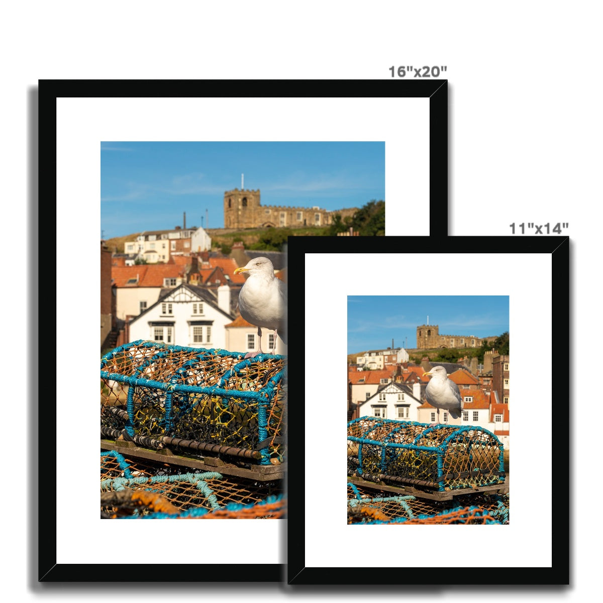 Seagull standing on a lobster trap on the quayside of Whitby harbour with St Mary's church in the distance. Whitby, UK. Framed & Mounted Print