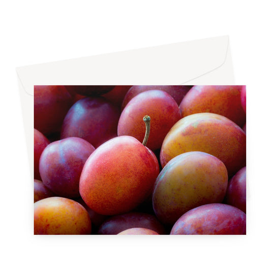 Freshly picked Victoria plums. Greeting Card
