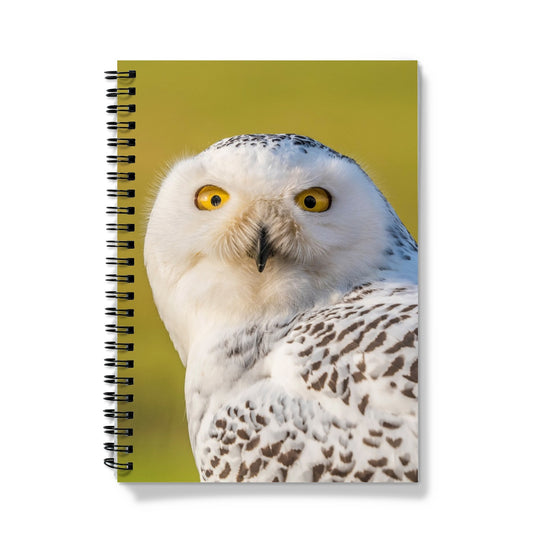 Surprised Snowy Owl Notebook
