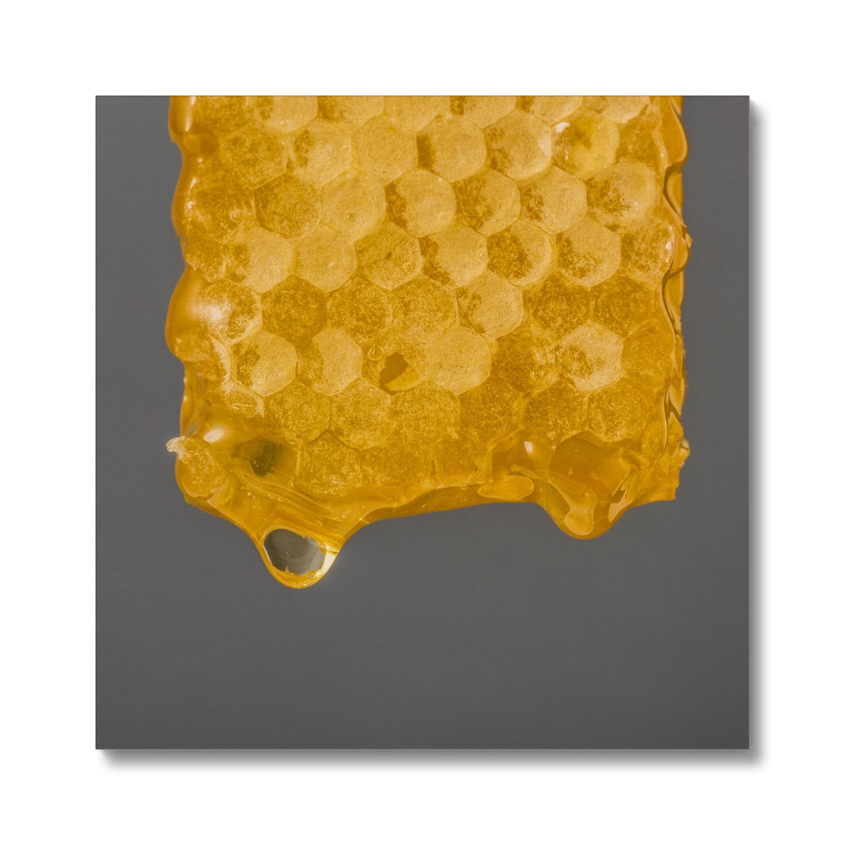 Natural honeycomb full of honey Canvas