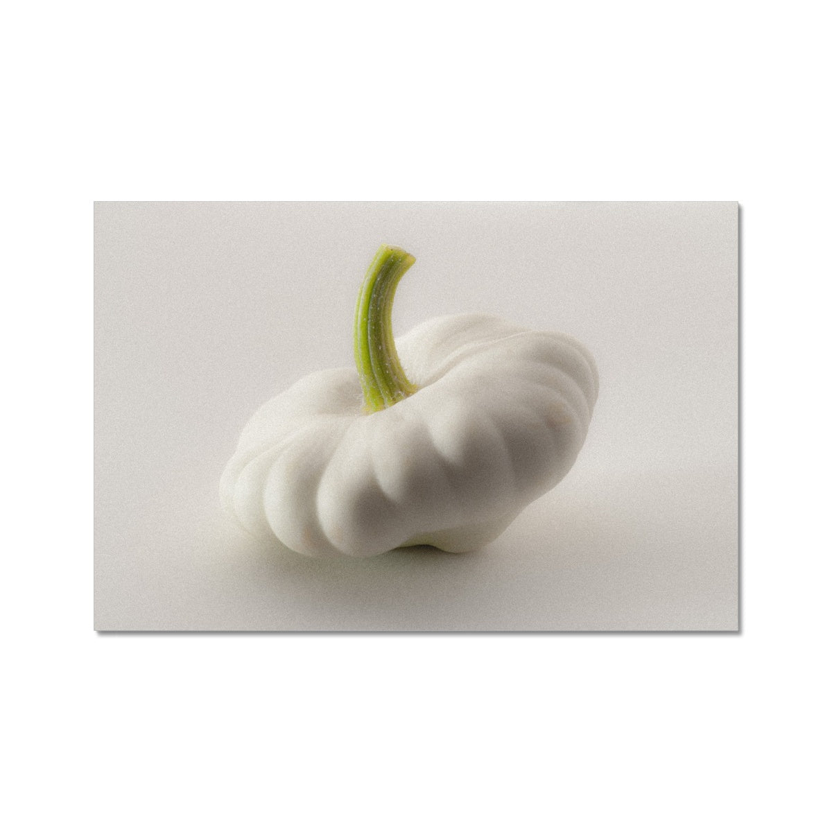 White pattypan squash on a white background Fine Art Print