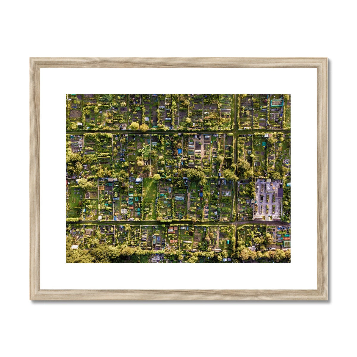 Aerial view of allotments Framed & Mounted Print