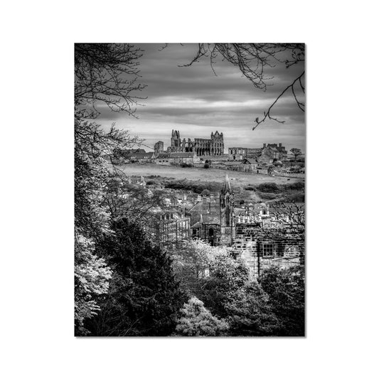 Whitby Abbey viewed from Pannett Gardens, Whitby, UK. Fine Art Print