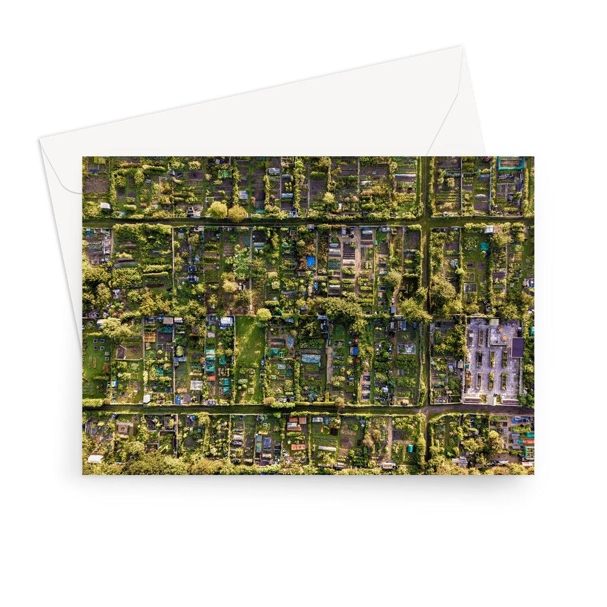 Aerial view of allotments Greeting Card