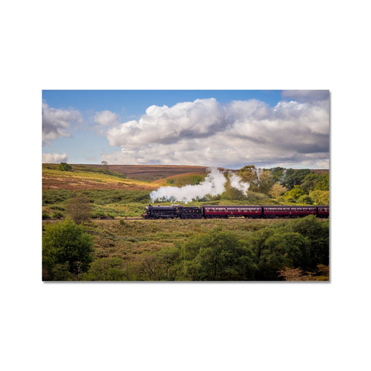 Steam Train: LNER Thompson Class B1 No. 1264  on the North Yorkshire Moors in summer. UK Fine Art Print