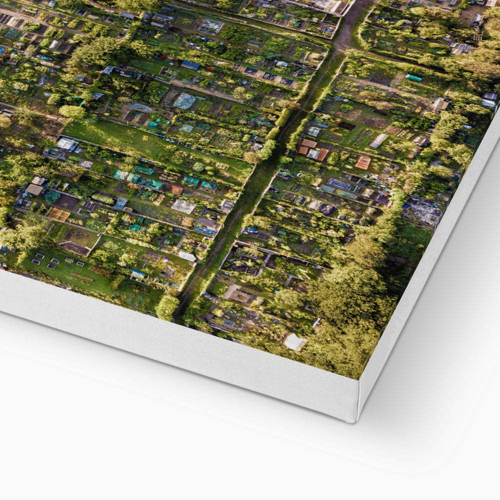 Aerial view of allotments Canvas