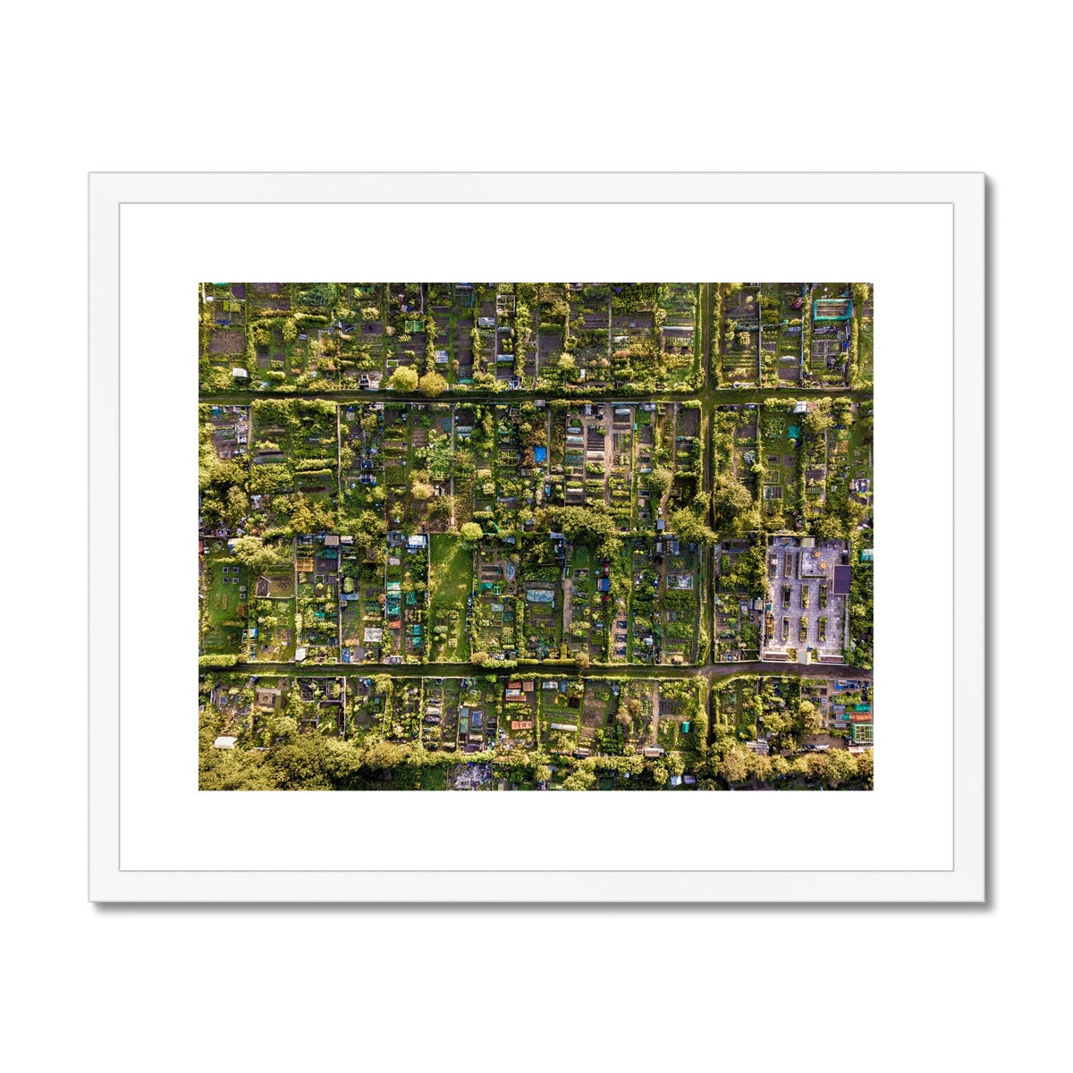 Aerial view of allotments Framed & Mounted Print