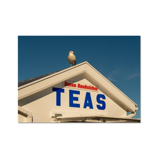 Seagull sitting on the roof of a catering kiosk selling tea and bacon sandwiches, Whitby, UK. Fine Art Print