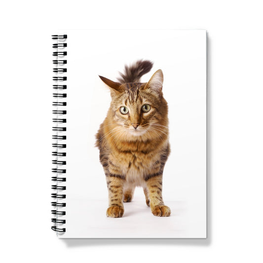 Tabby cat Notebook