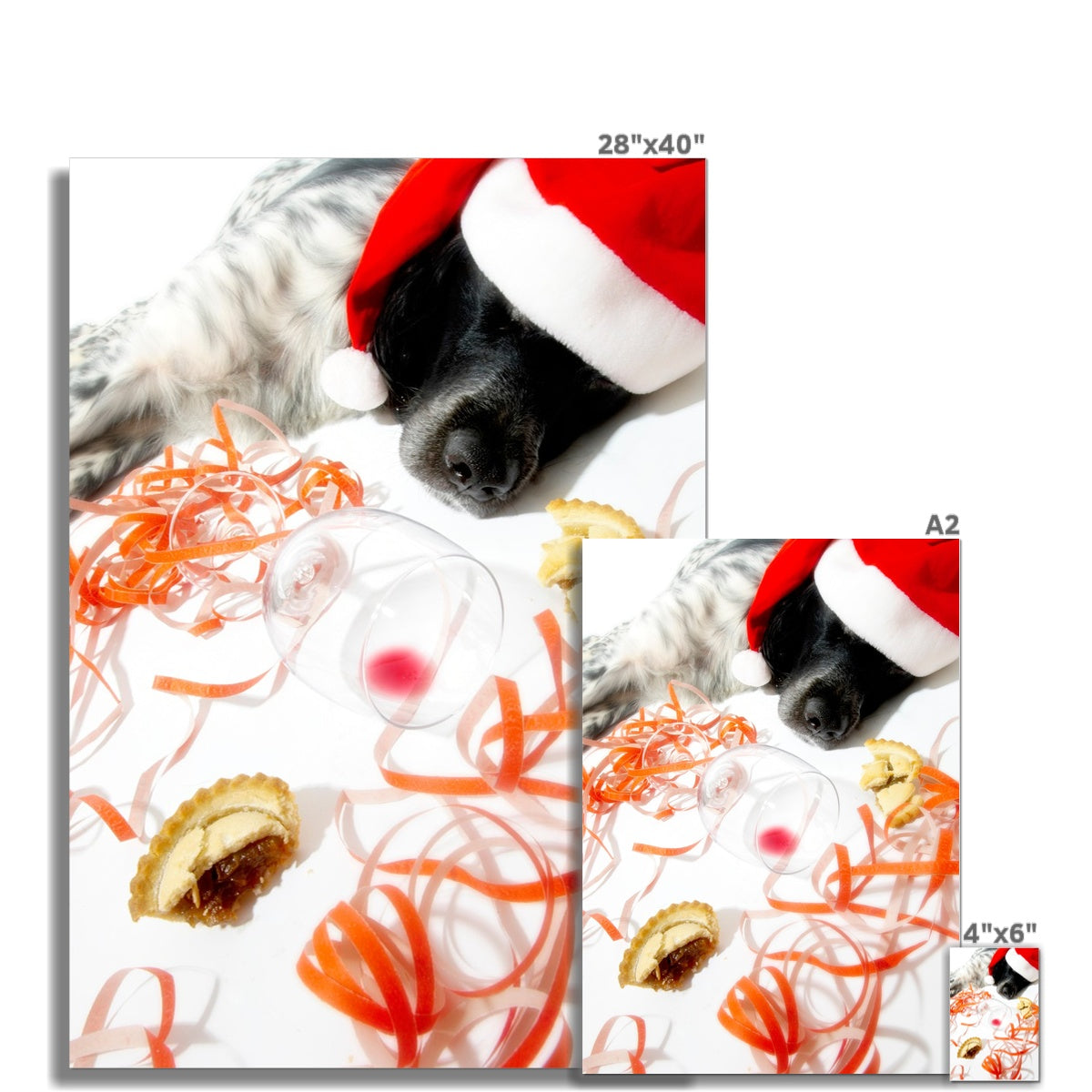 Sleeping dog after Christmas party Fine Art Print