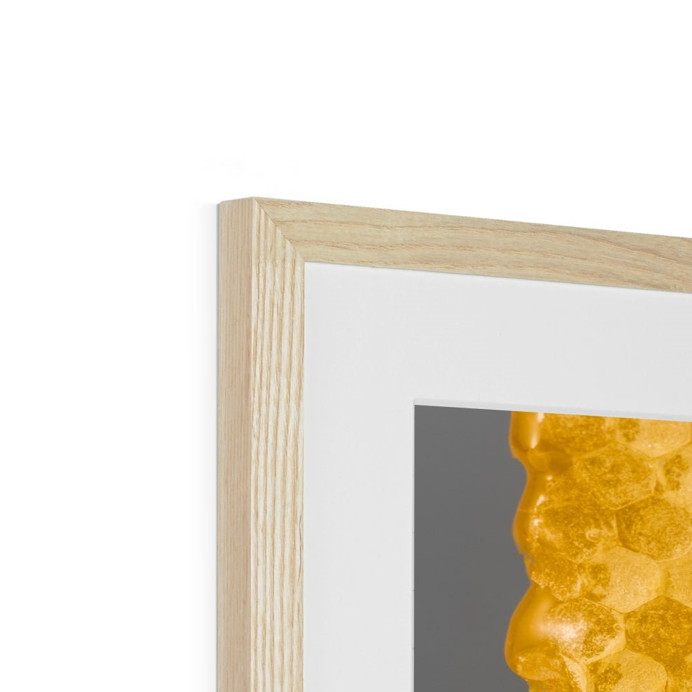 Natural honeycomb full of honey Framed & Mounted Print