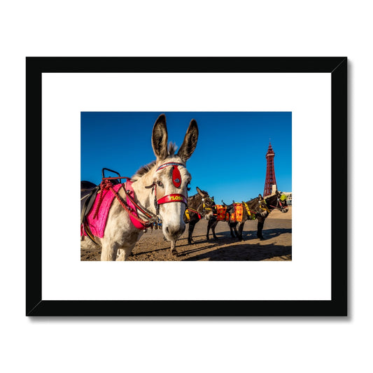 Donkeys on beach with Blackpool Tower Framed & Mounted Print