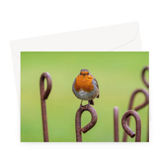 Robin sitting on a rusty metal stake in winter Greeting Card