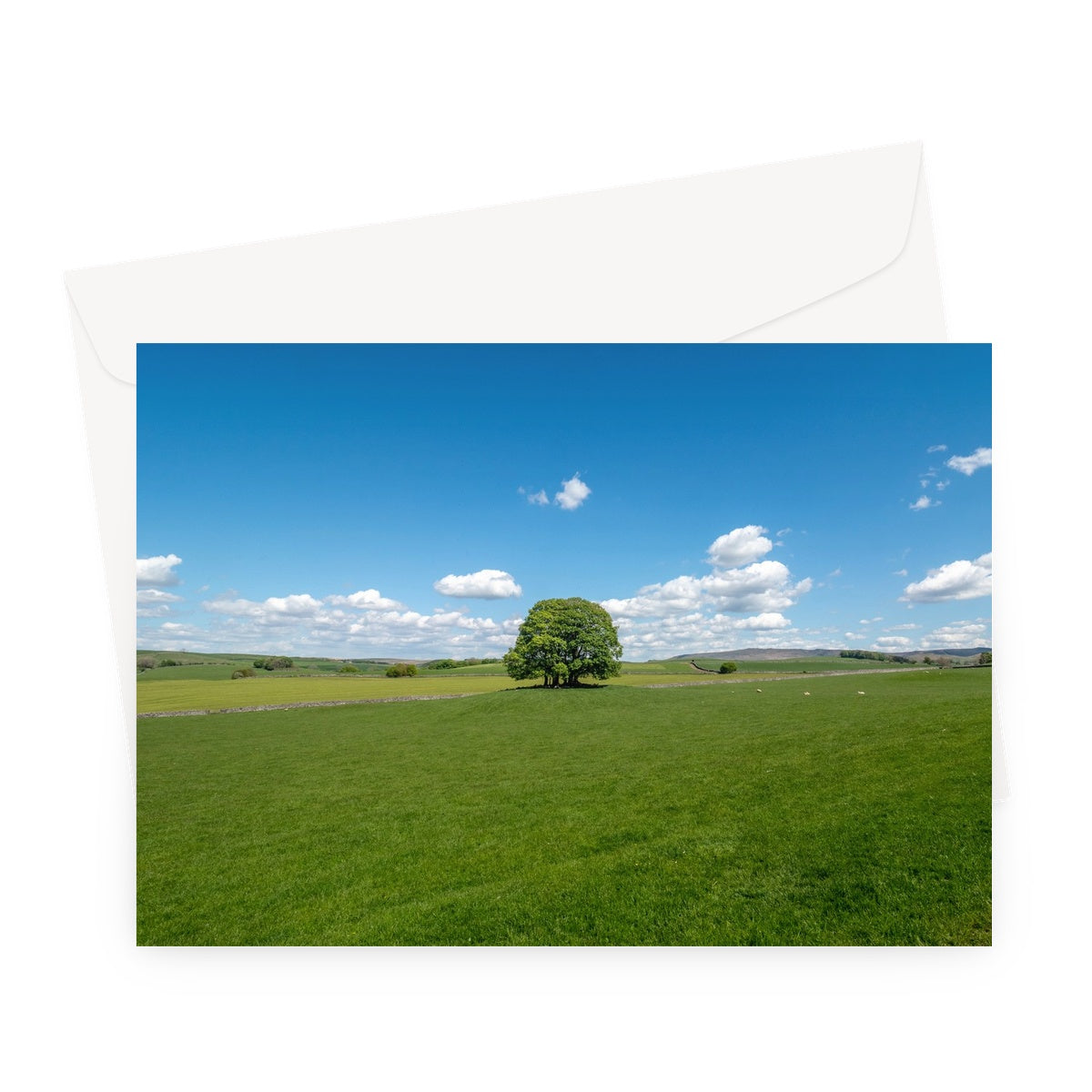 Single Tree, Yorkshire Dales Landscape Greeting Card