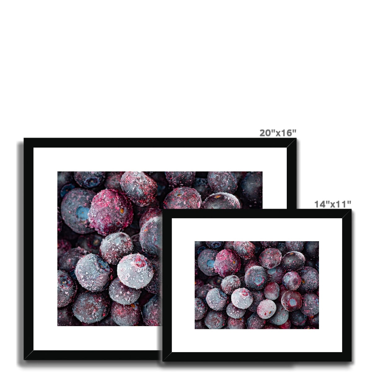 Close up of frozen blueberries Framed & Mounted Print