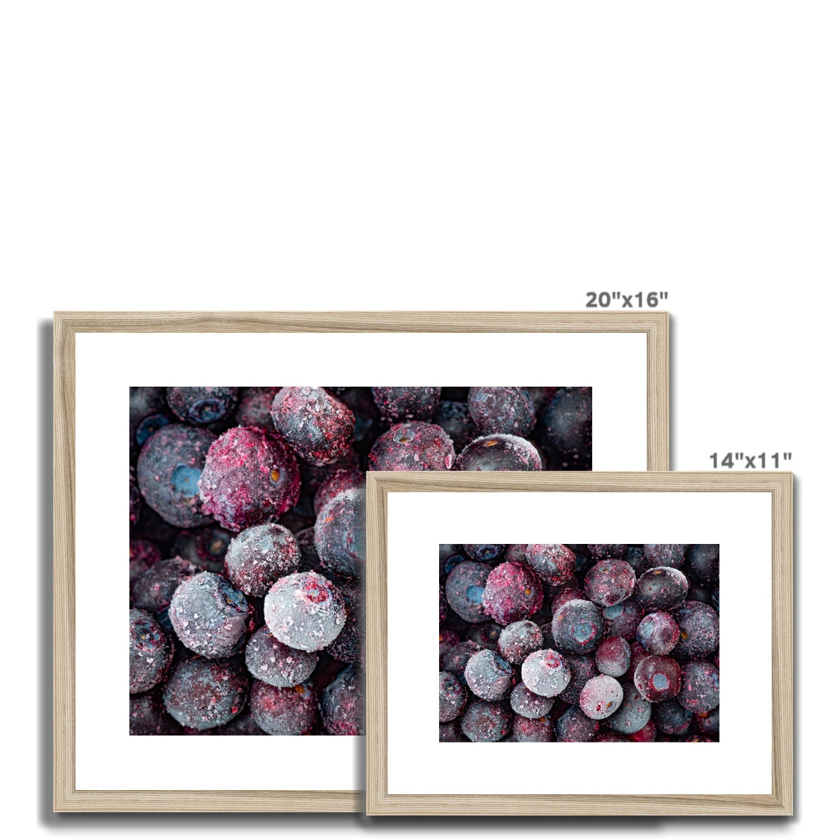 Close up of frozen blueberries Framed & Mounted Print