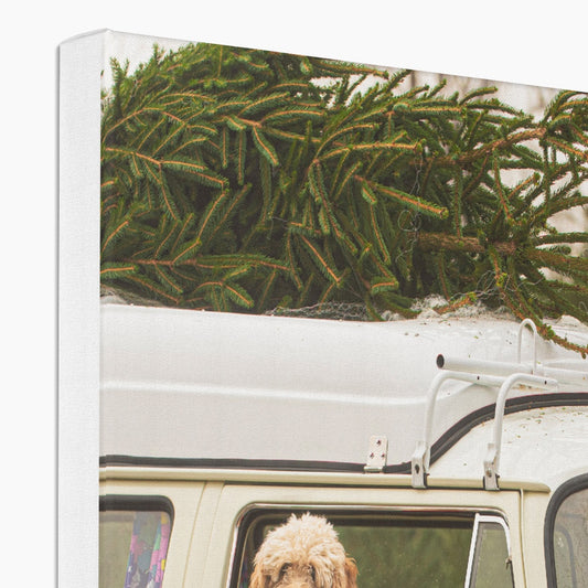 1972 VW Bay Window Campervan parked with with Christmas tree on roof and Cockapoo dog looking out of window. Canvas