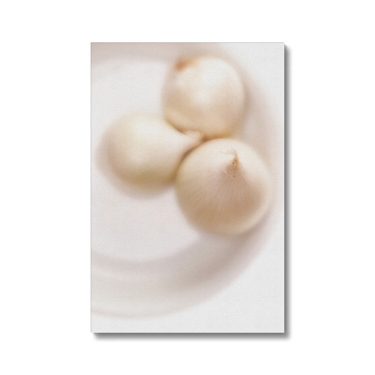 Three white onions on white plate Canvas